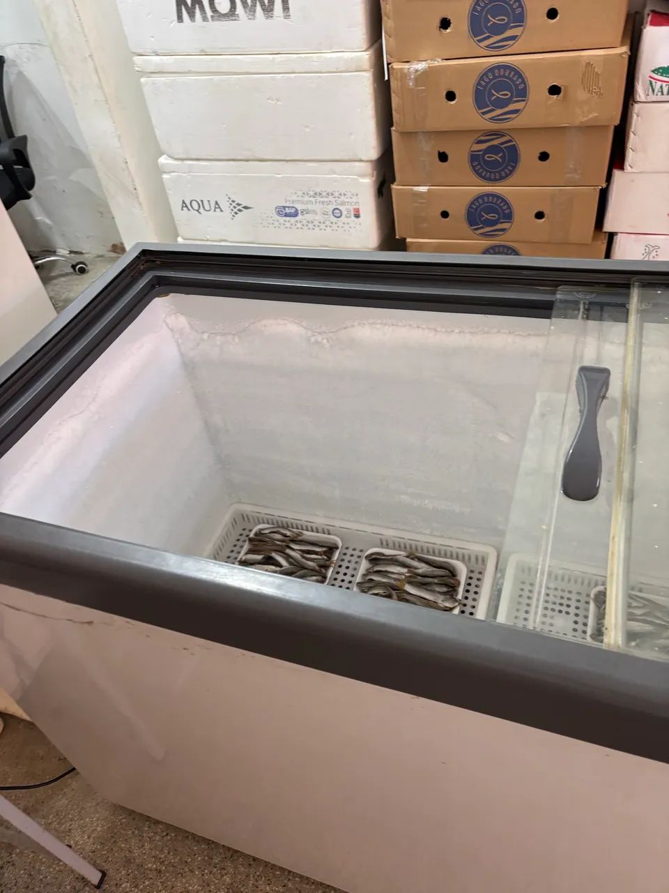 Freezer Horizontal 