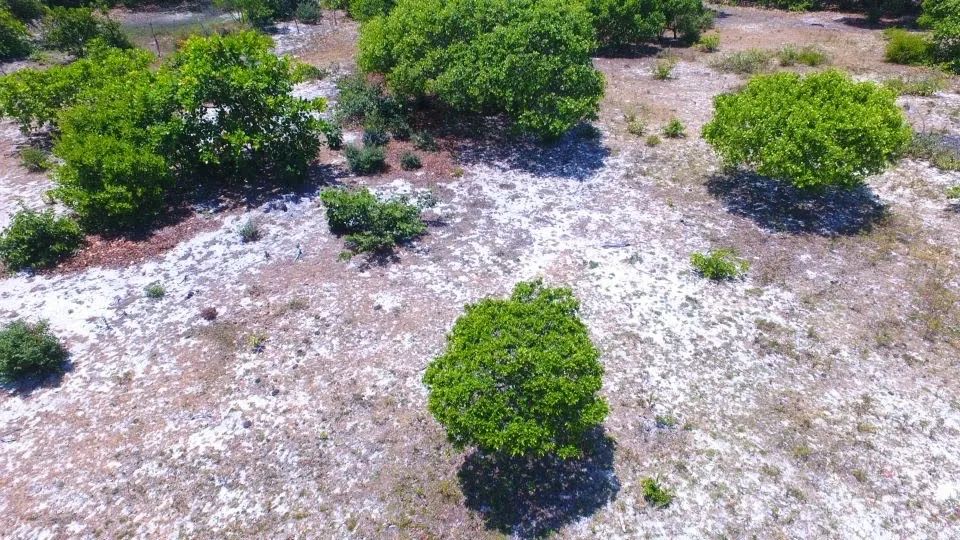 Terreno próximo a Atins  - Foto 3