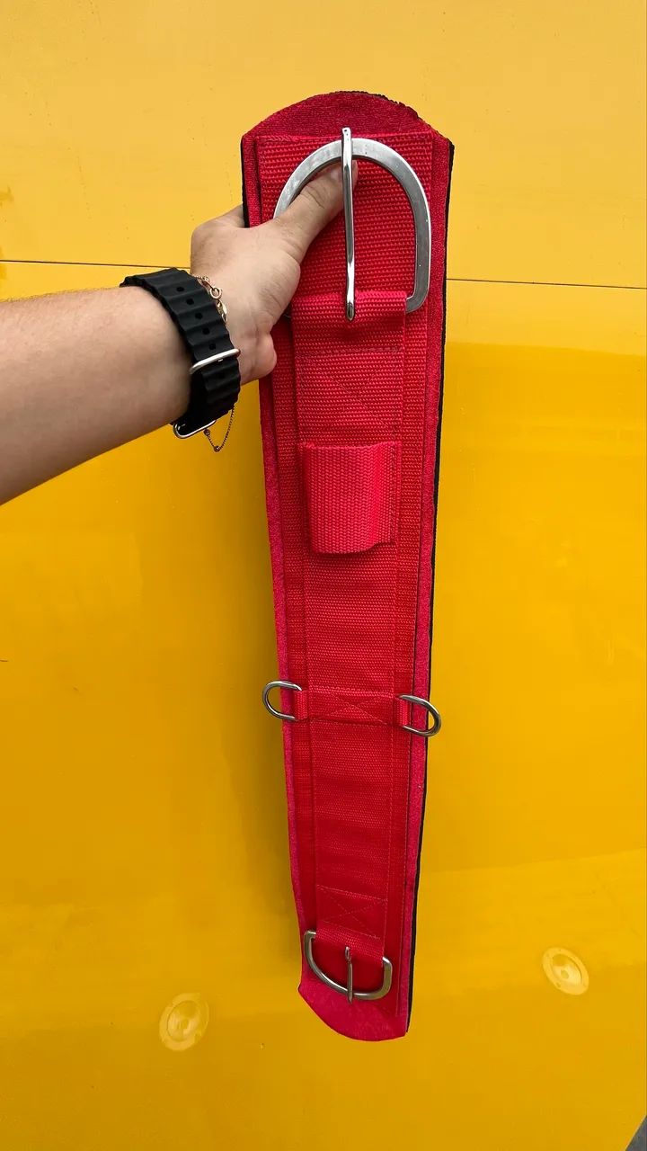 Barrigueiras  - Foto 2