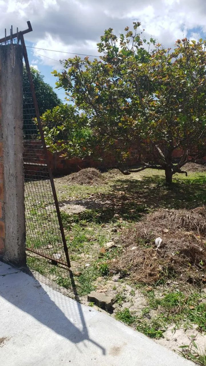 Terreno Jardim limoeiro 