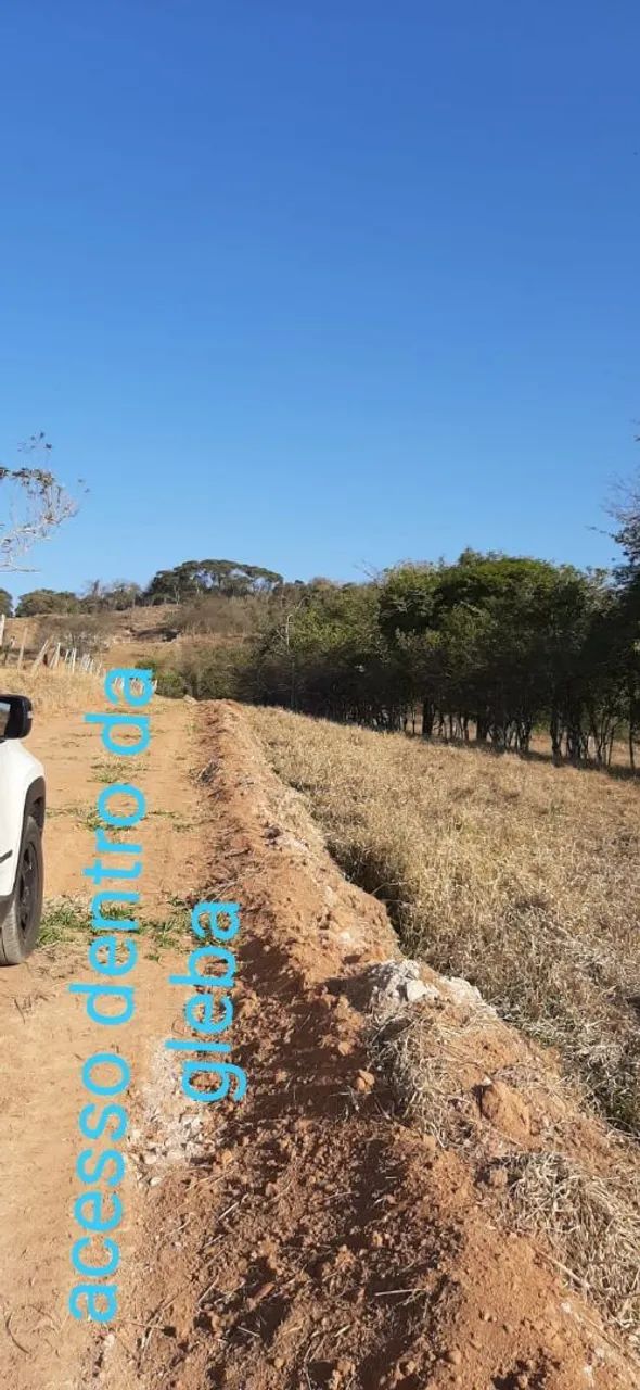 Foto - Pouso Alegre - Jardim Floresta