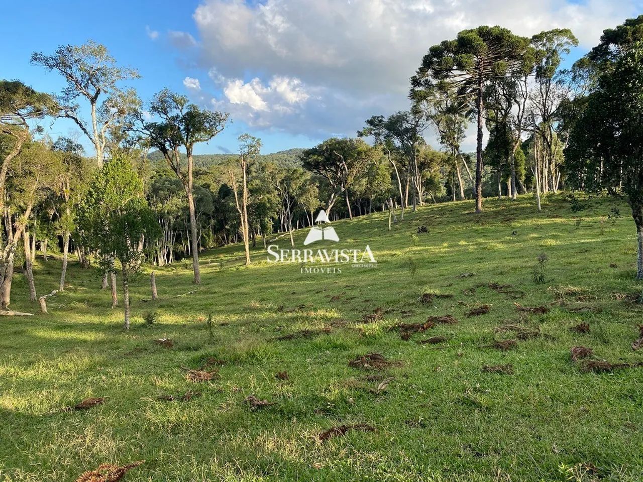 Chácara com pastagem e nascentes - 75.468 m2 - Foto 3
