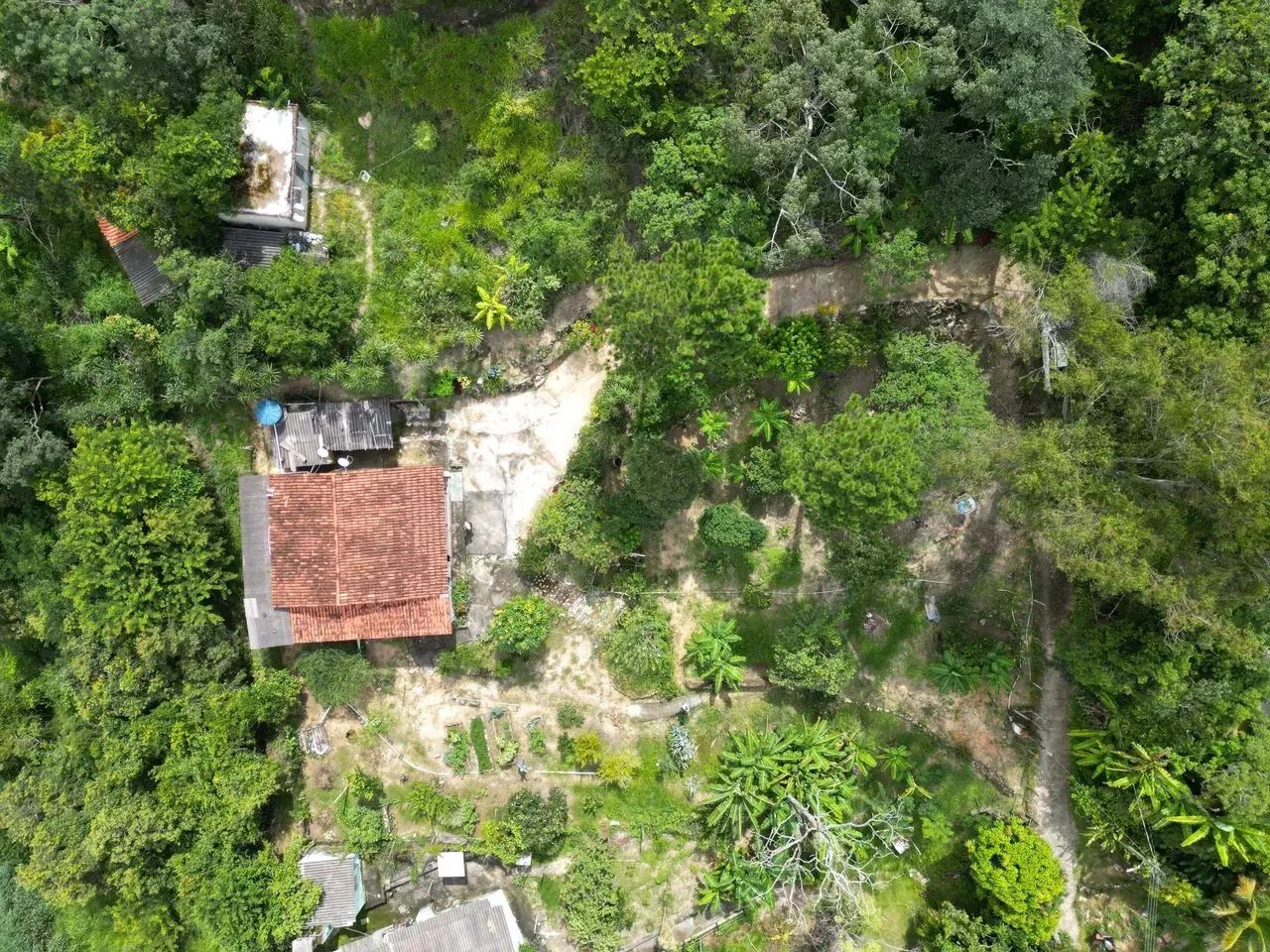 Oportunidade em Ravena: O Refúgio de Vó com Pomar Completo a 25 km de BH! - Foto 6