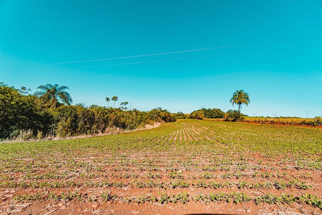 Chácara a venda. - Foto 4