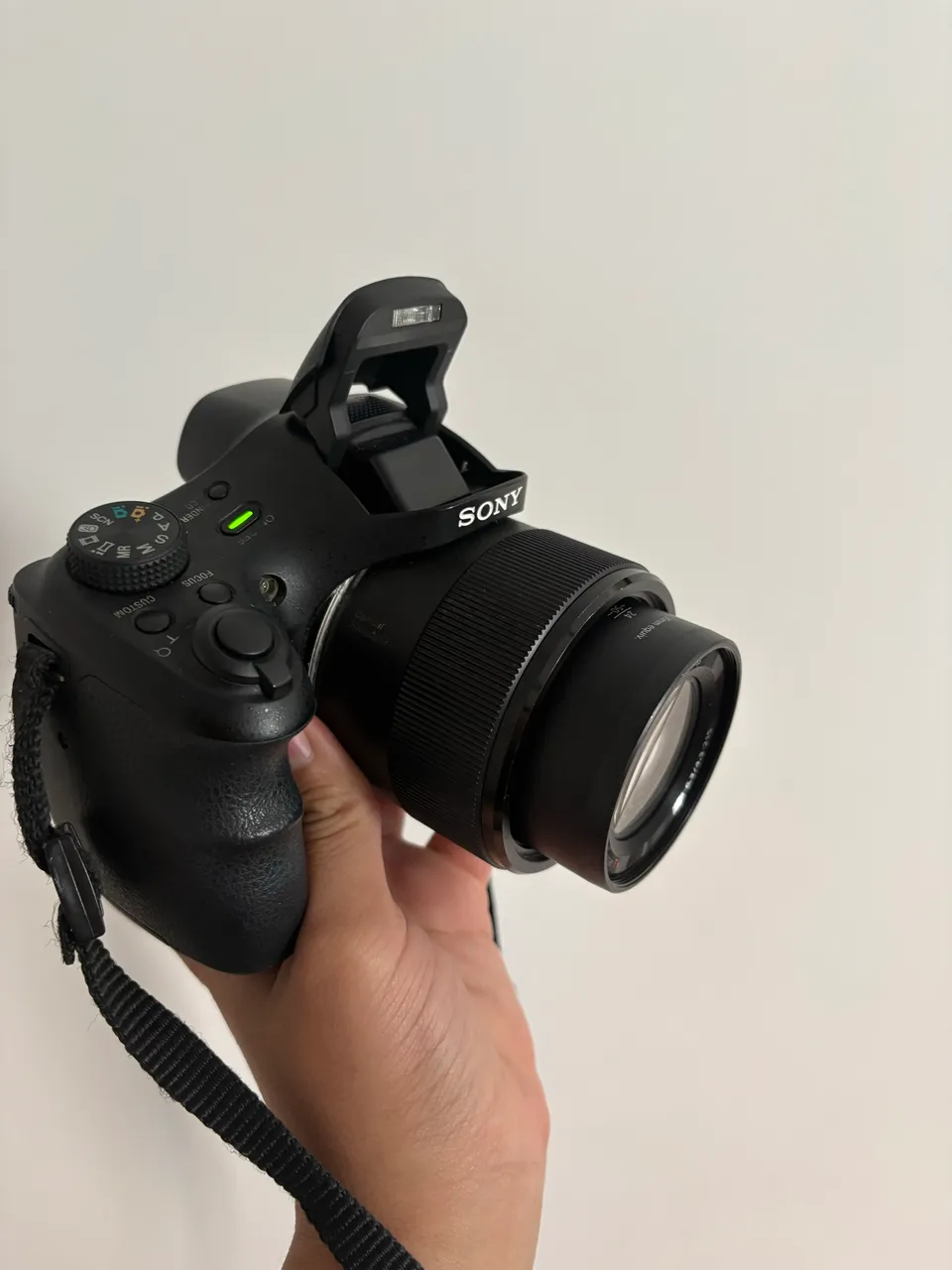sony dsc hx300