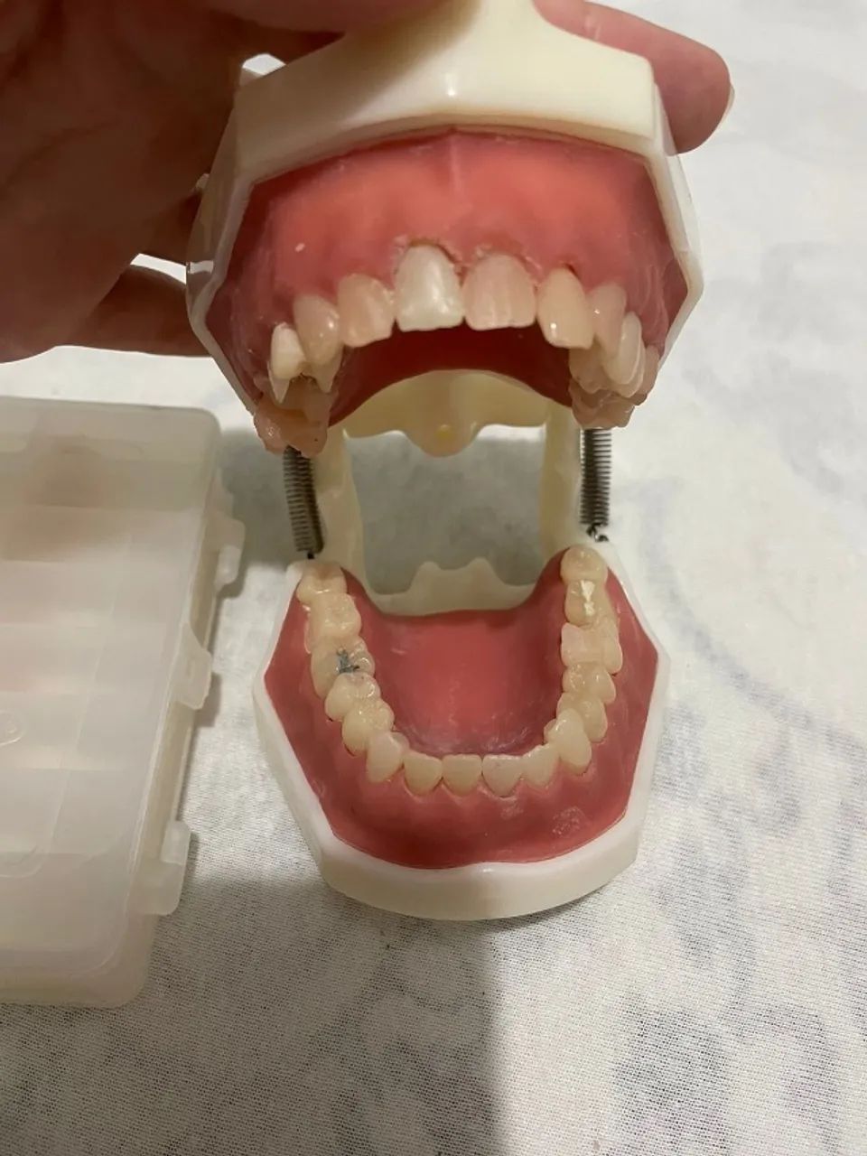 Manequim de dentística - Dent Art  - Foto 2
