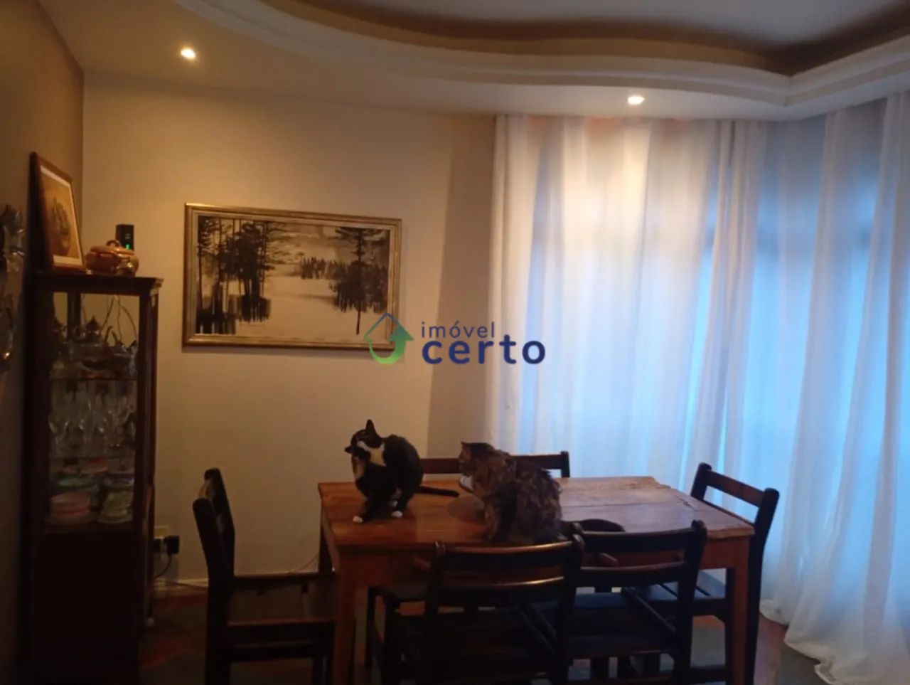 Apartamento com 3 quartos à venda em Belo Horizonte - Foto 4