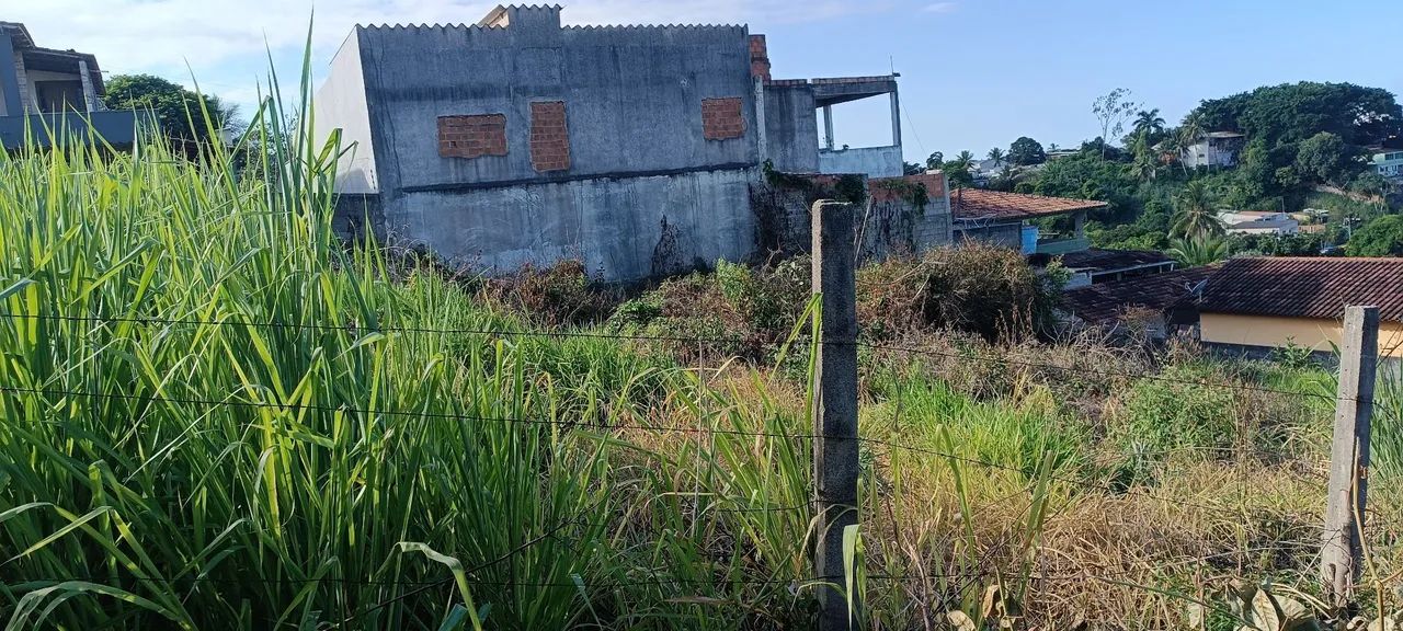 Limpeza de Terrenos e paisagismo  - Foto 5