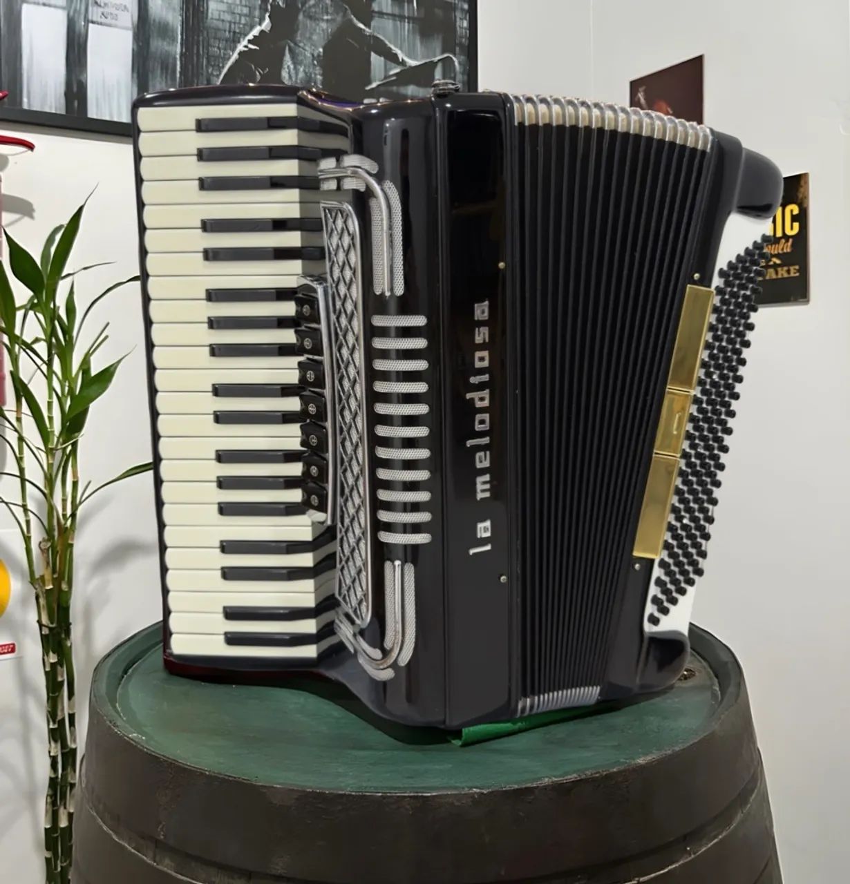 Acordeon La Melodiosa