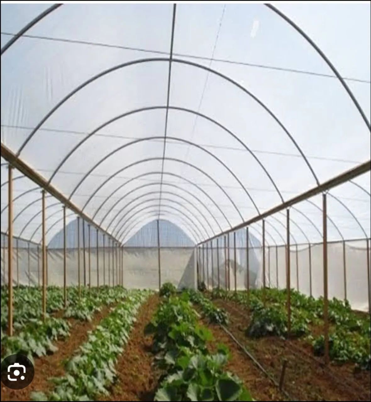 Filme agricola estufa 09x105x150 Nortene - Foto 2