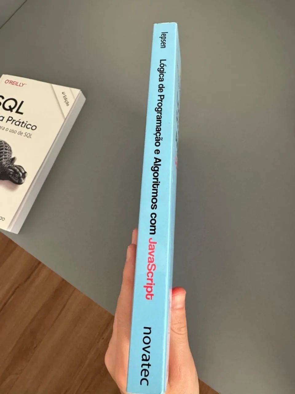Livro Lógica de Programaçao e Algoritmos com JavaScript - Foto 3