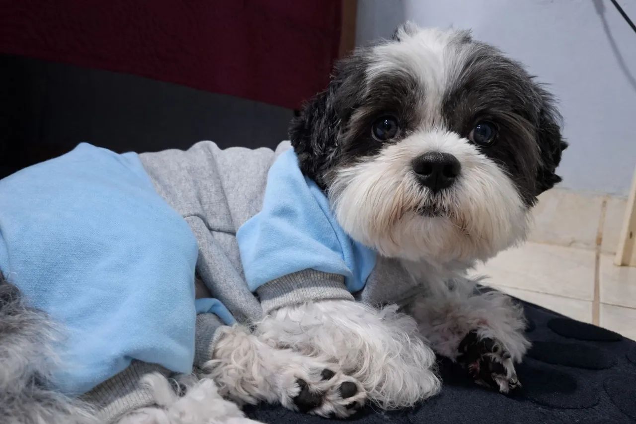 Procuro namorada - Foto 2