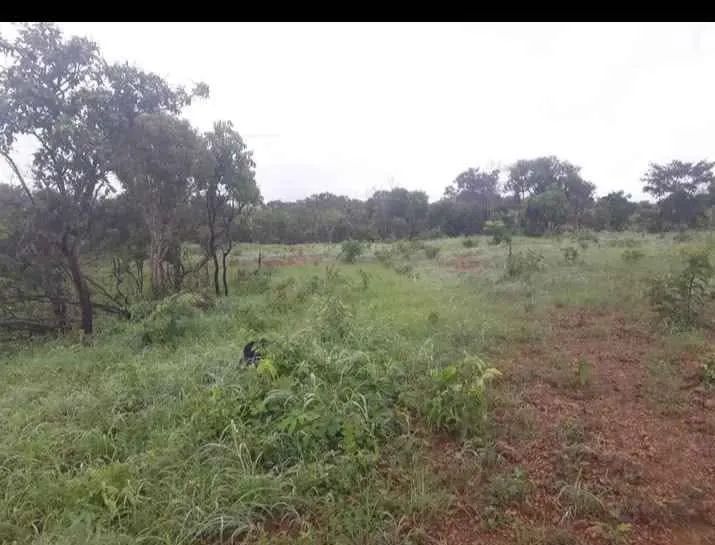 Chácara com 2 alqueires bruta - Foto 3