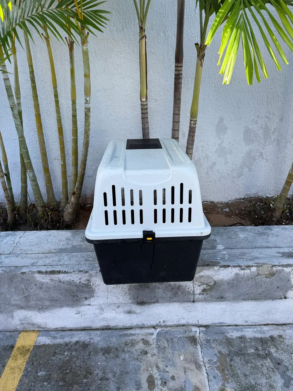 Caixa transporte cães e gatos  - Foto 5