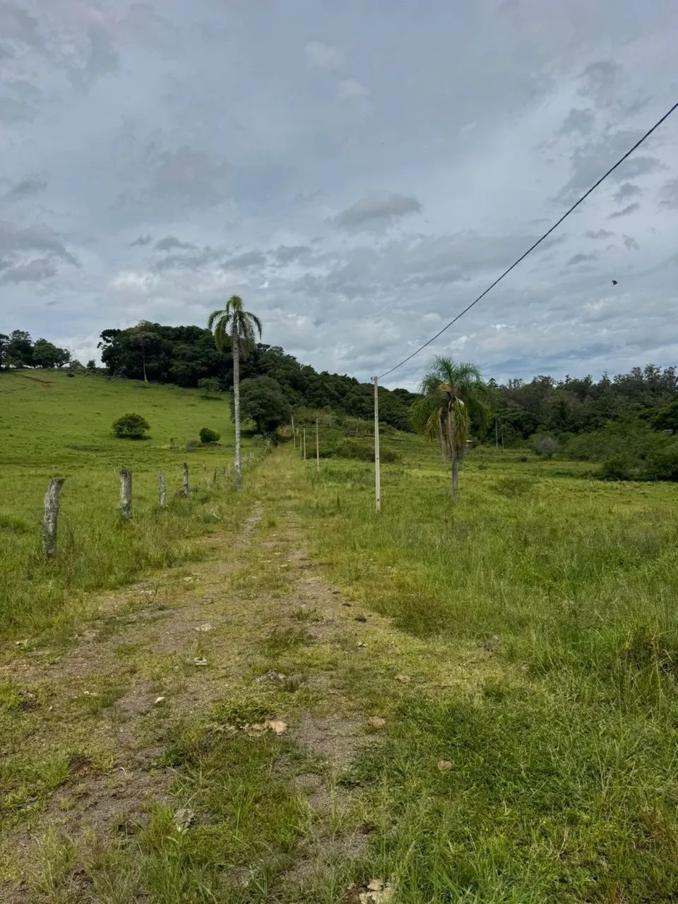  SÍTIO À VENDA | RS-020 - PARADA 127  - Foto 5