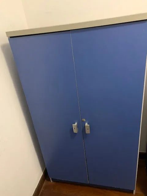 Armário Multiuso azul com prateleiras