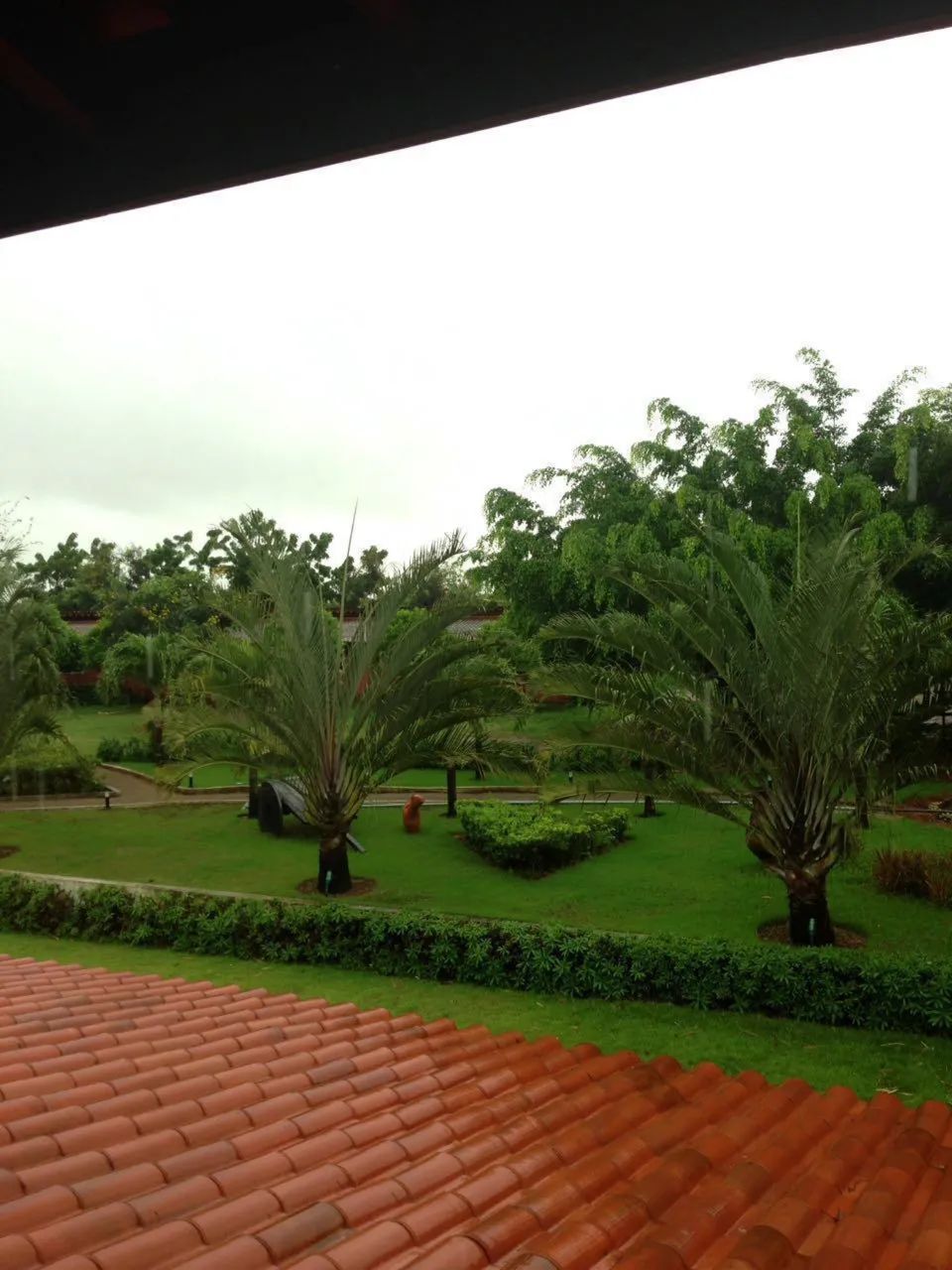 Haras com 54 hectares de terra em Pernambuco. - Foto 3