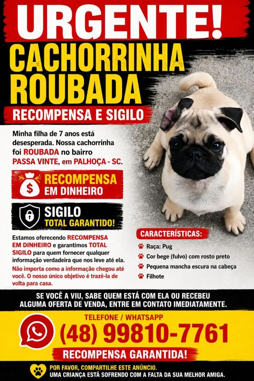 Pug filhote 