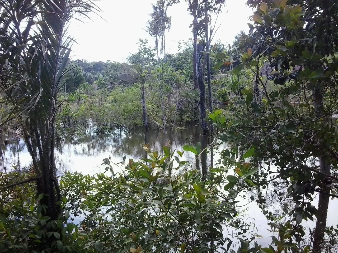 Ótimo terreno em Iranduba - Foto 3