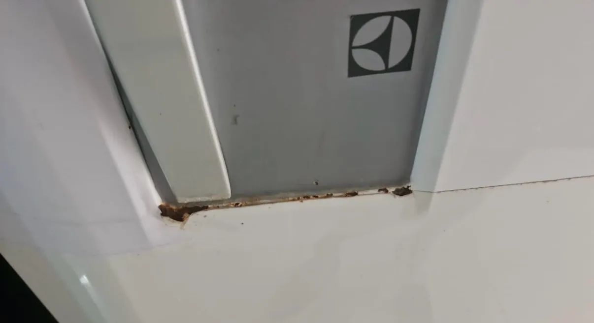 Vende refrigerador Electrolux - Foto 4