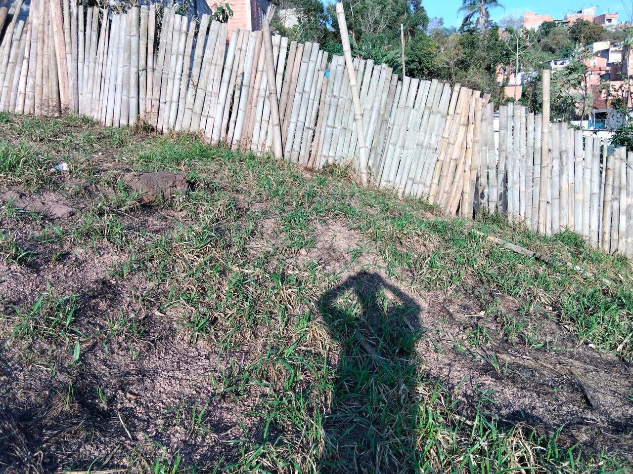 Vendo uma chácara ótima oportunidade  - Foto 3