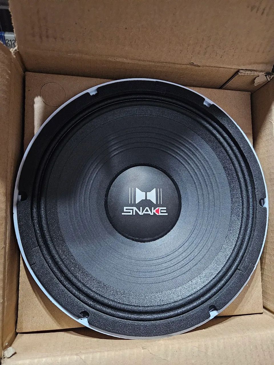Medio Grave Snke Esv610 10 Polegadas 300Rms  Novo 