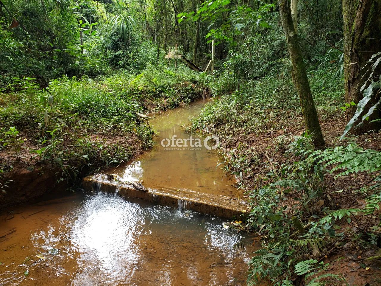 Chácara em Contenda - Foto 2