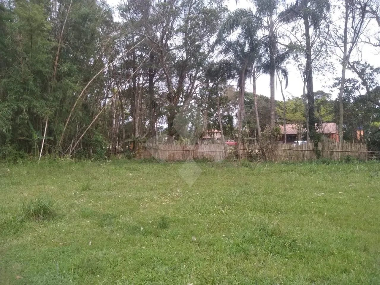 Área Estrada Geral da Praia do Ouvidor - Garopaba/SC - Foto 4