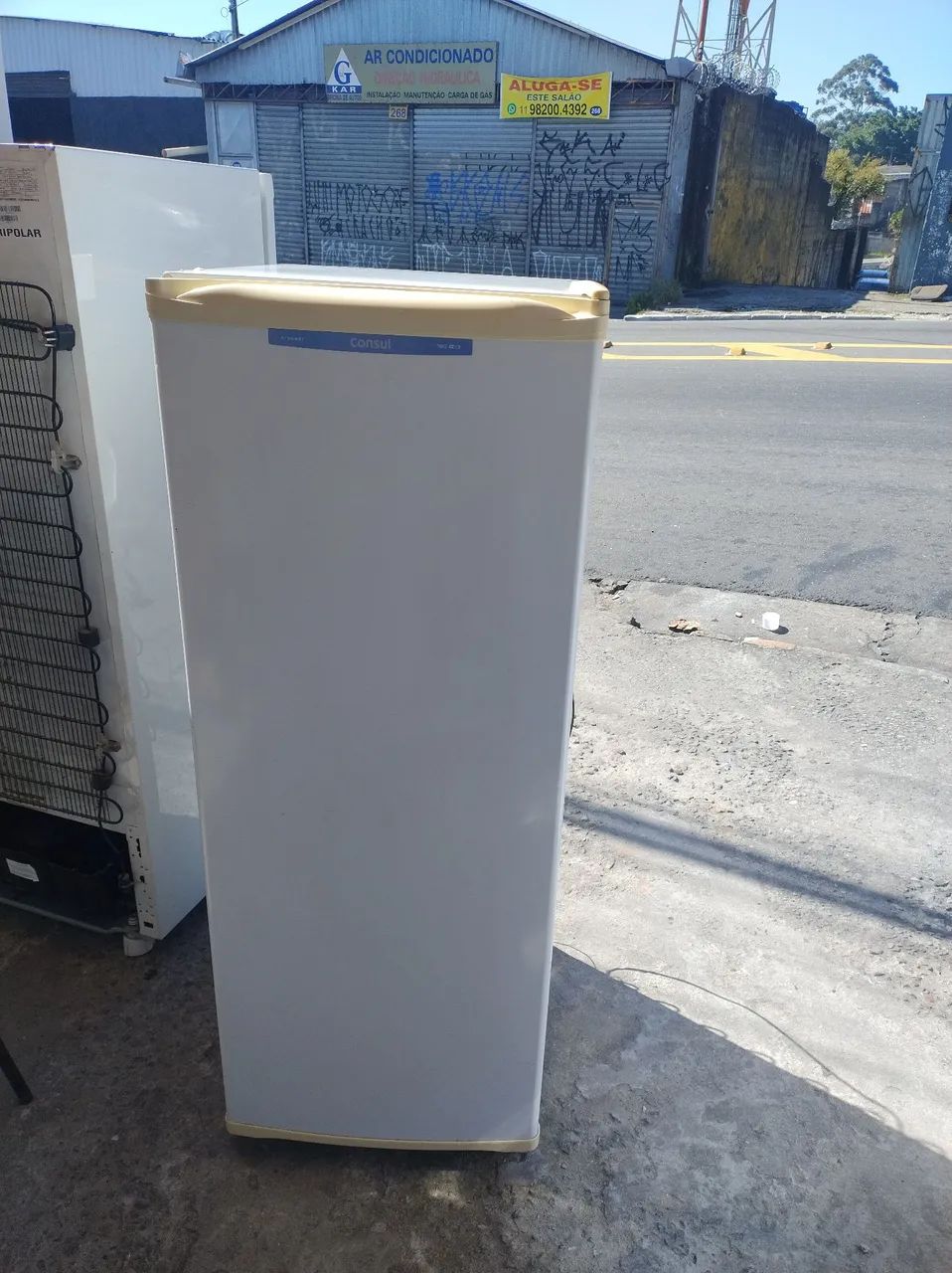 Freezer vertical funcionando perfeitamente 