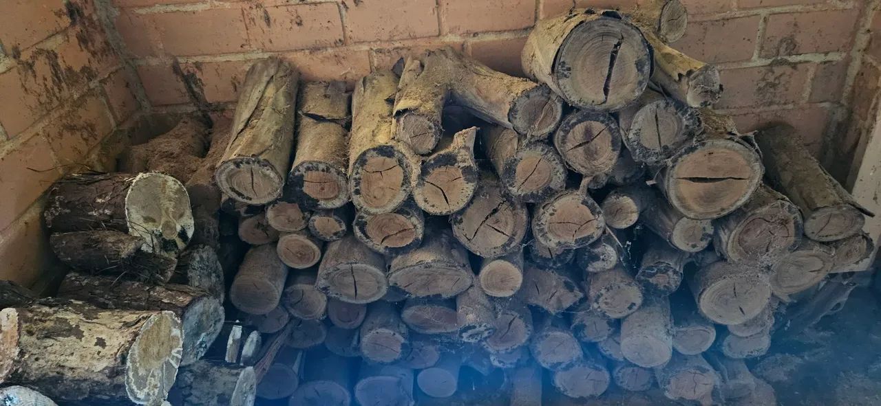 Lenha de eucalipto e pinus. Não entrego. - Foto 4
