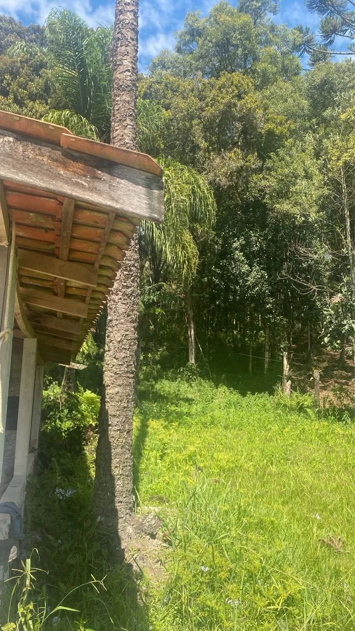 Chácara em  Bocaiuva do Sul  - Foto 6