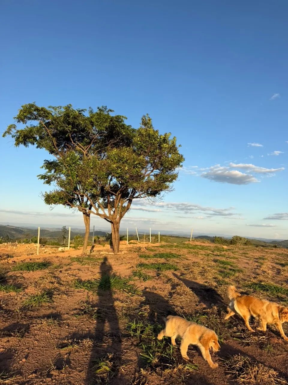 Chácara - Recanto da Serra | Itaguara/MG - Foto 5