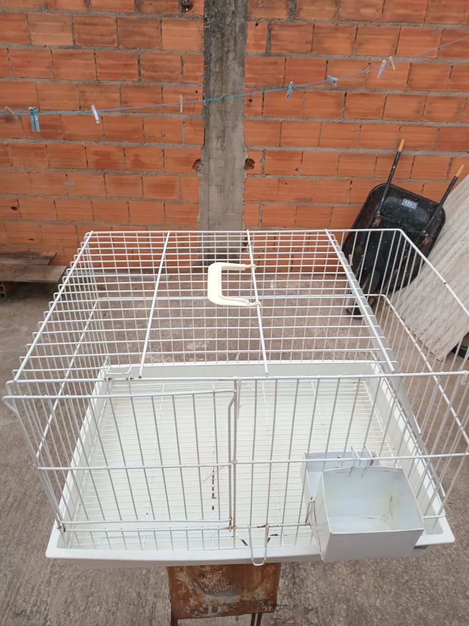 Gaiola para coelho  - Foto 3