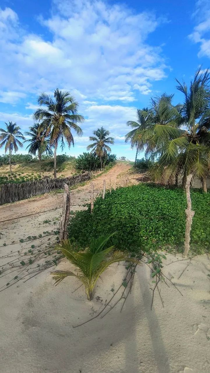 Terreno em Icaraí de Amontada  - Foto 4
