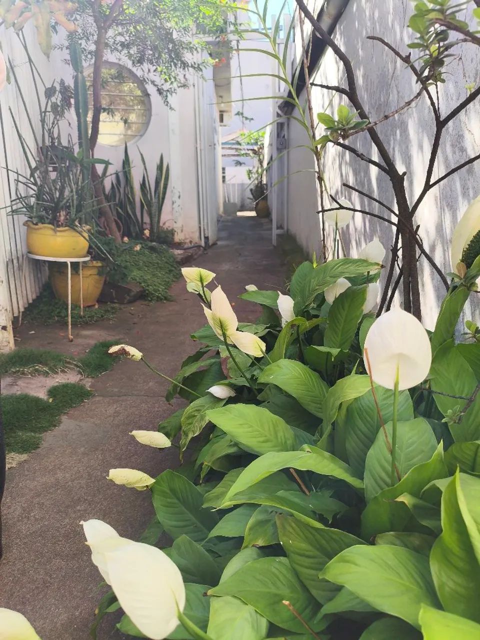 Alugo CASA CENTRO 1Q Ótima localização e segurança  - Foto 4