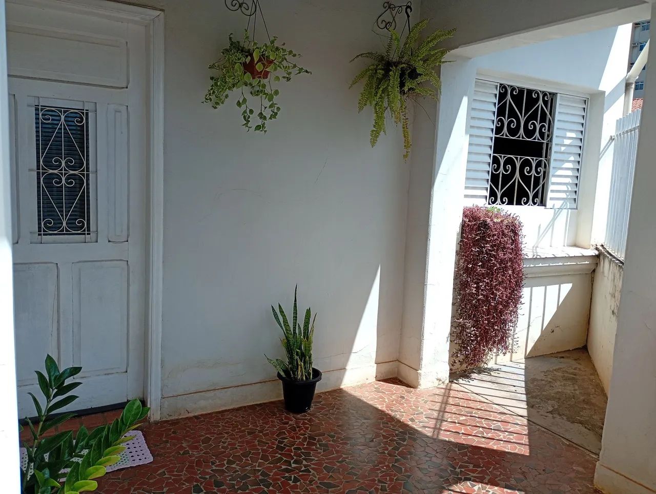Foto - Araras - Vila Bressan