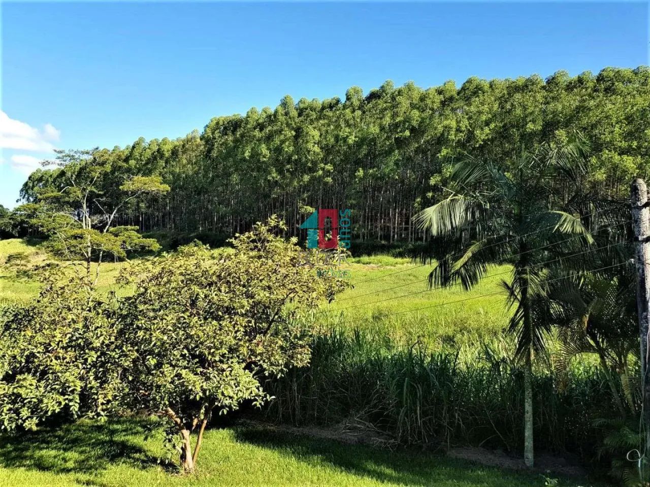 Ipiabas | Fazenda 3 quartos, sendo 1 suite - Foto 11