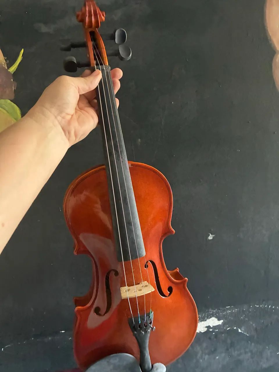 Violino - Foto 2