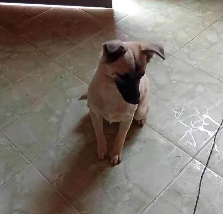 Doação  - Foto 2