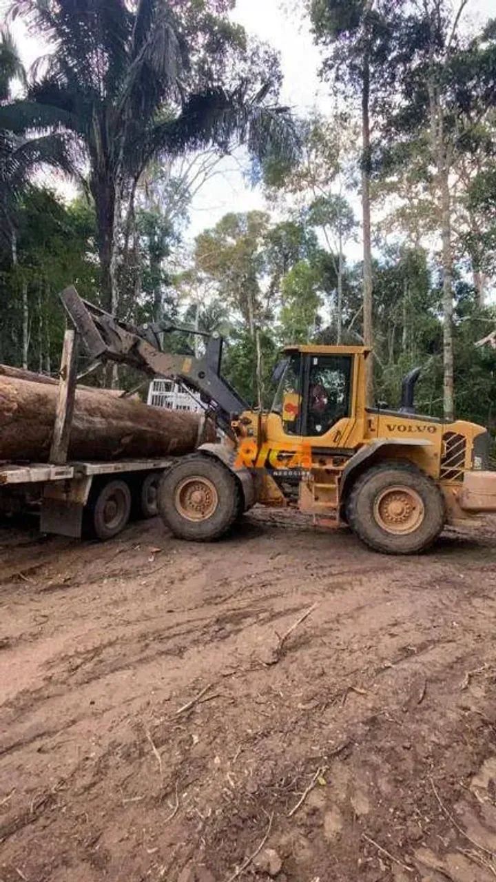 Fazenda para Manejo à venda em Feijó/AC - Foto 4