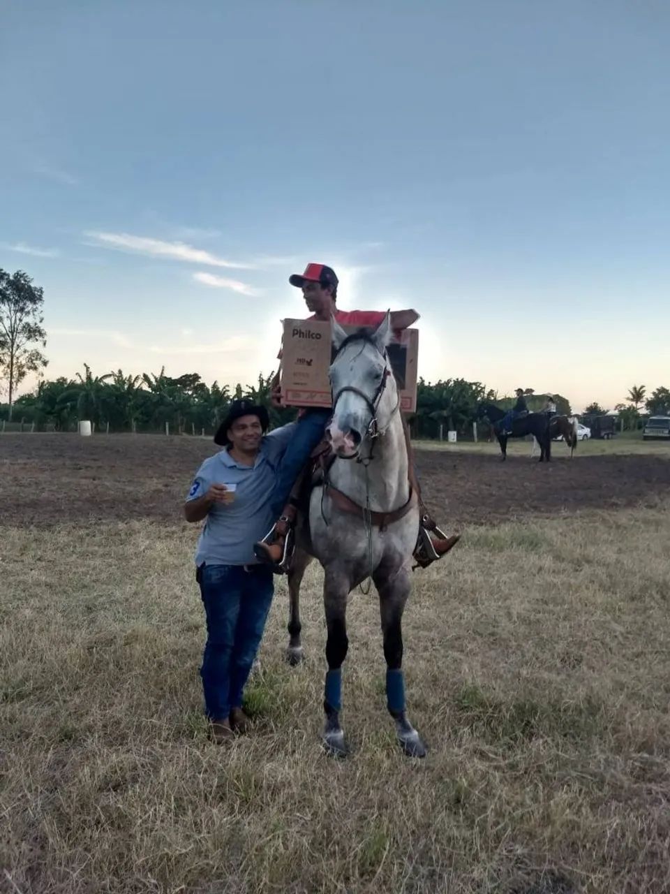 Cavalo quatro de minha  - Foto 5