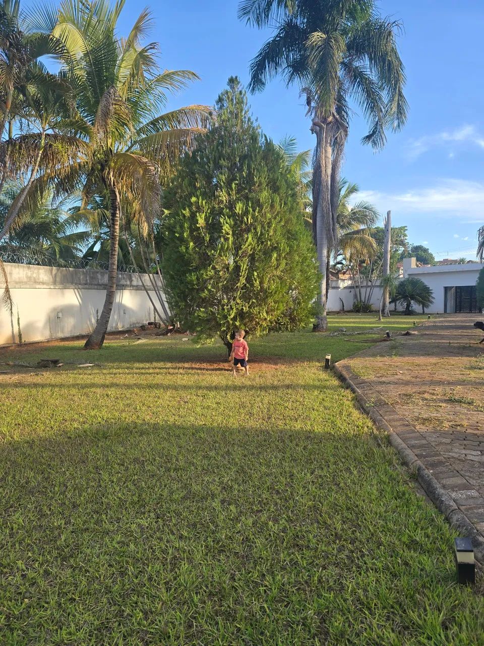 Vendo Imovel de 3.200m2 no centro de Minaçu Go  - Foto 3