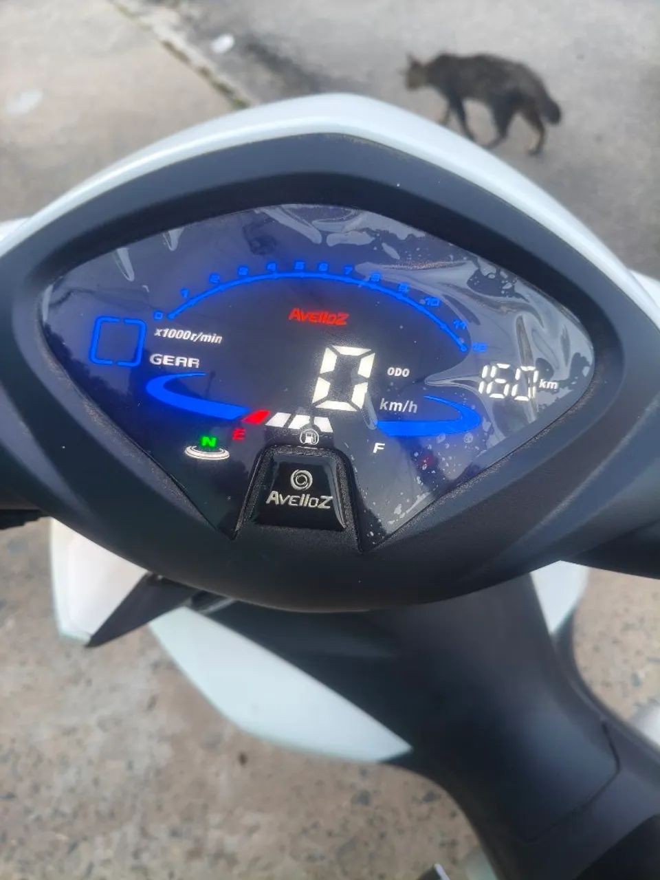 Moto Avelloz - Foto 4