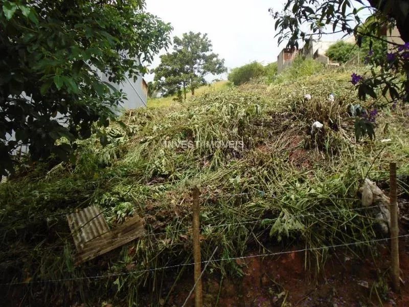 Terreno - Juiz de Fora MG - Foto 2