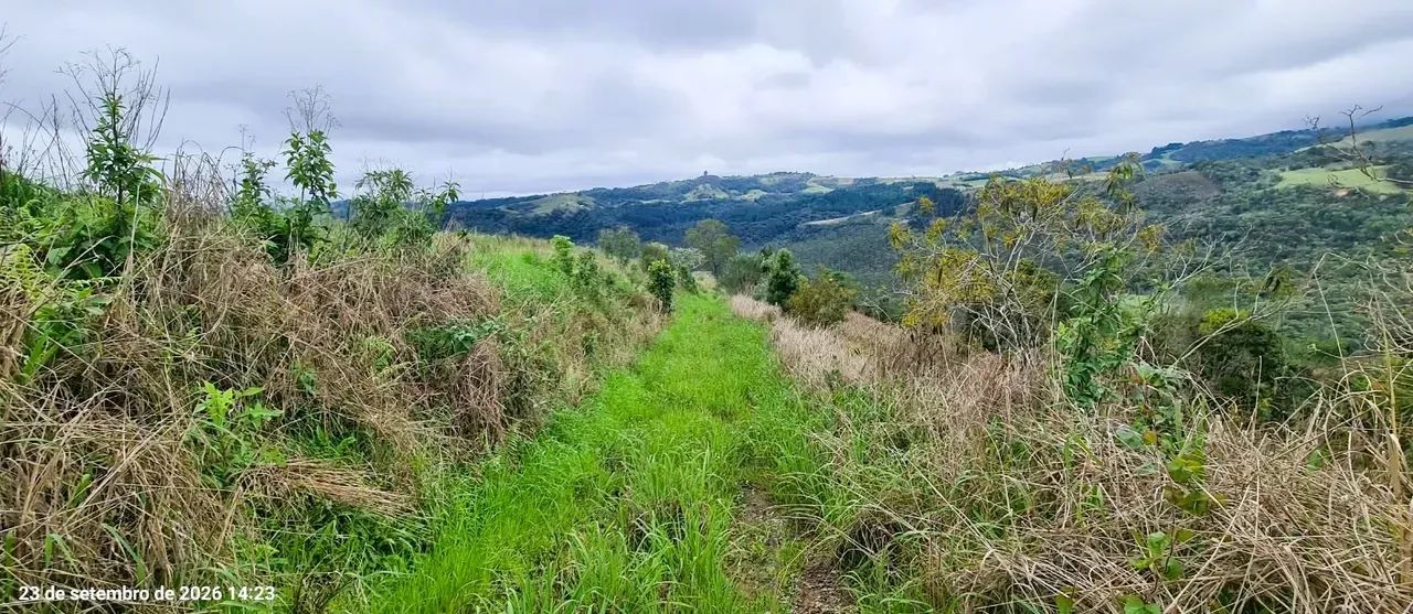 Sítio em Alfredo Wagner- Serra Catarinense-41.000 m² - Foto 5