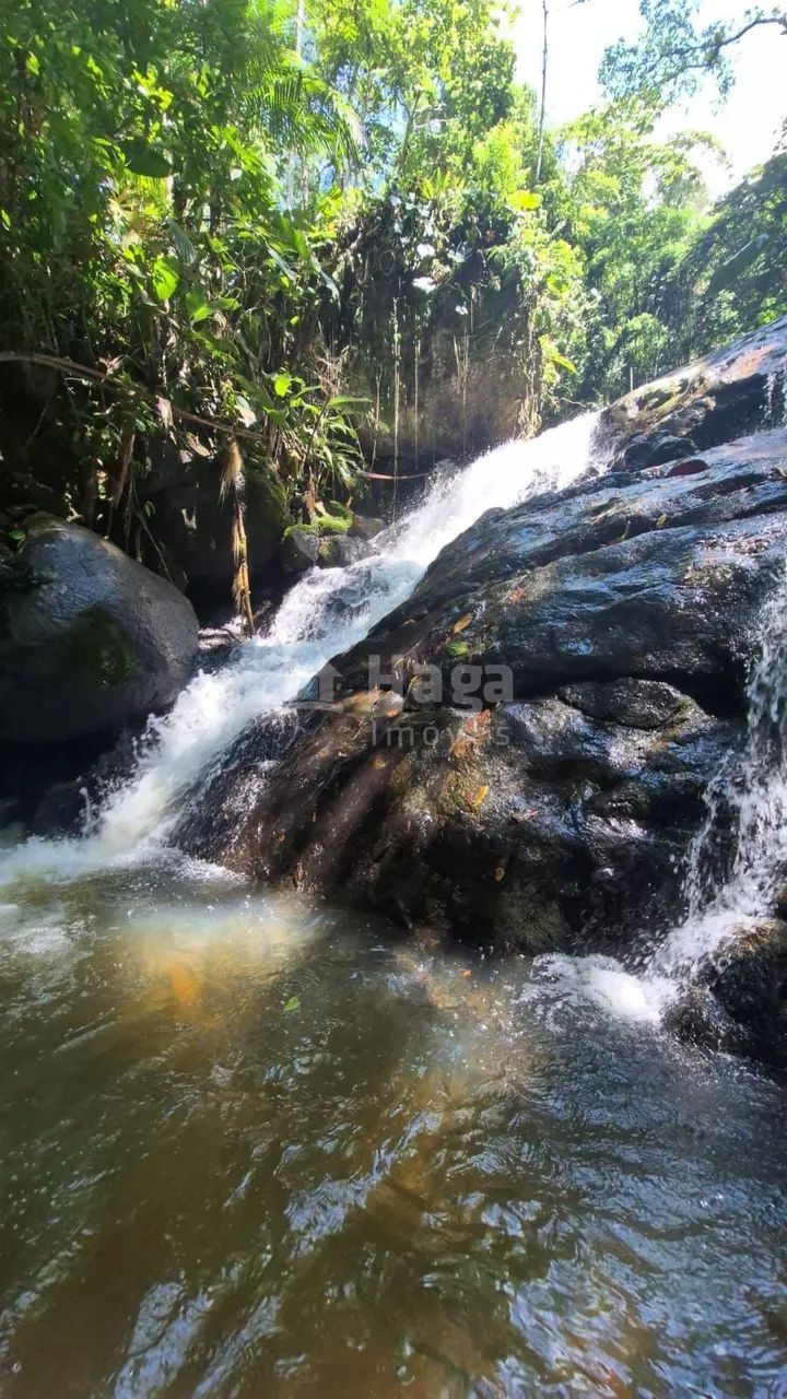 Sítio à venda em Águas Mornas/SC - Foto 5