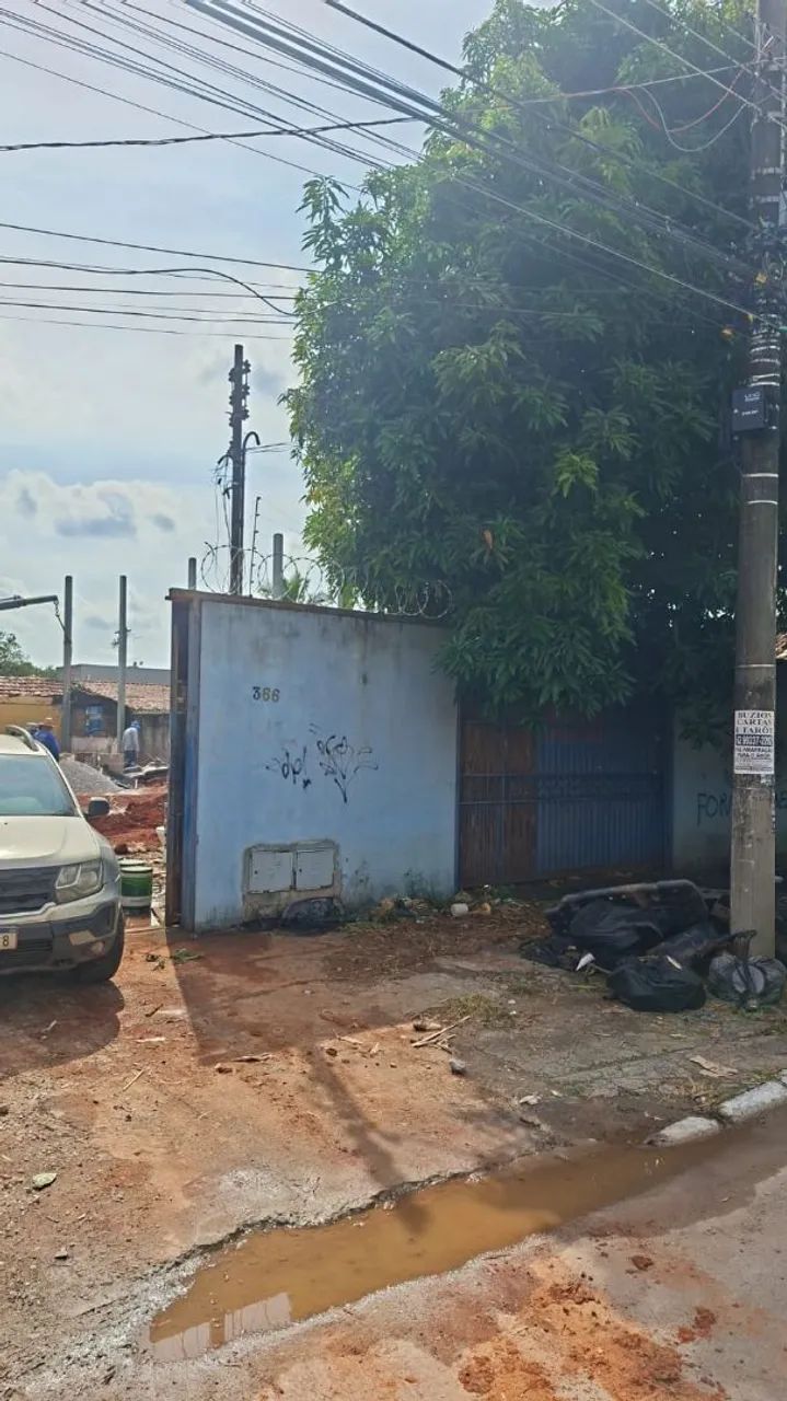 Trabalho com jardinagem gerais - Foto 2