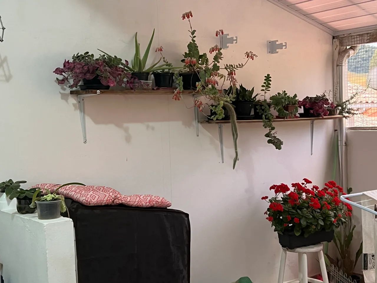 Apartamento centro São Bonifácio sc  - Foto 3