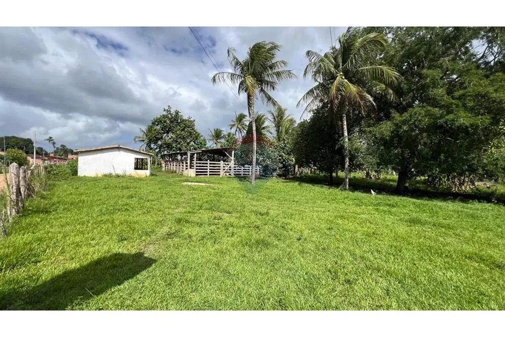 Vende sítio com 15 tarefas no Povoado Rio Verde - Areia Branca - Foto 3