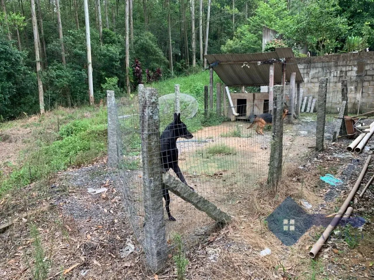 Casa para venda, 2 quarto(s), Avistoso, Braço Do Norte - Foto 4
